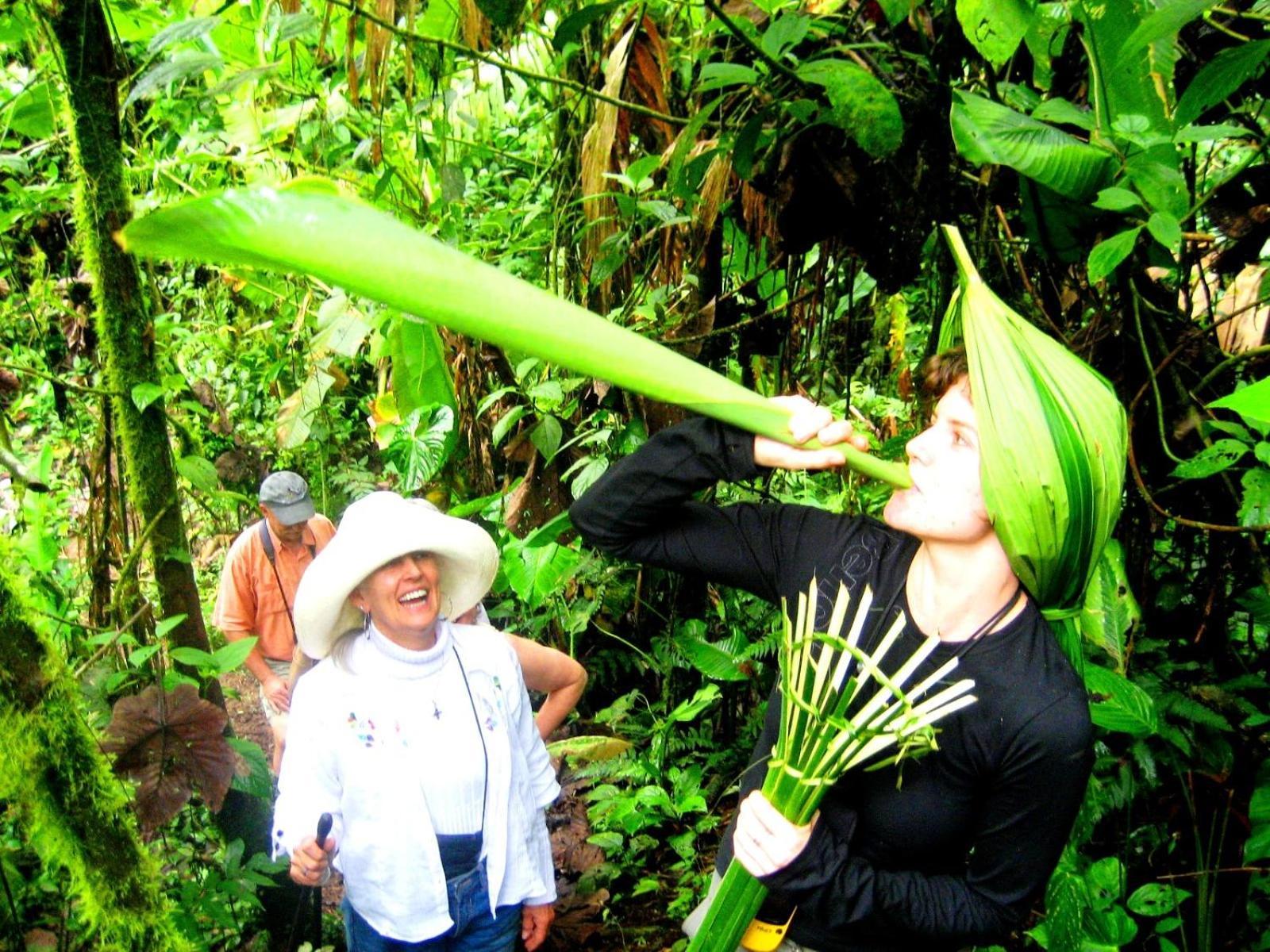Huasquila Amazon Lodge Cotundo Phòng bức ảnh