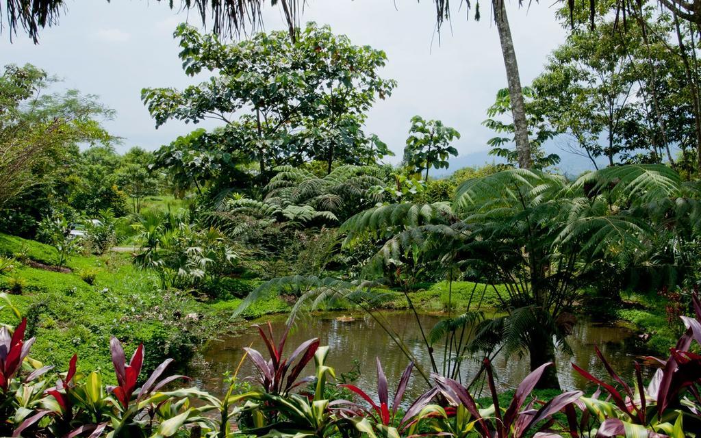 Huasquila Amazon Lodge Cotundo Ngoại thất bức ảnh