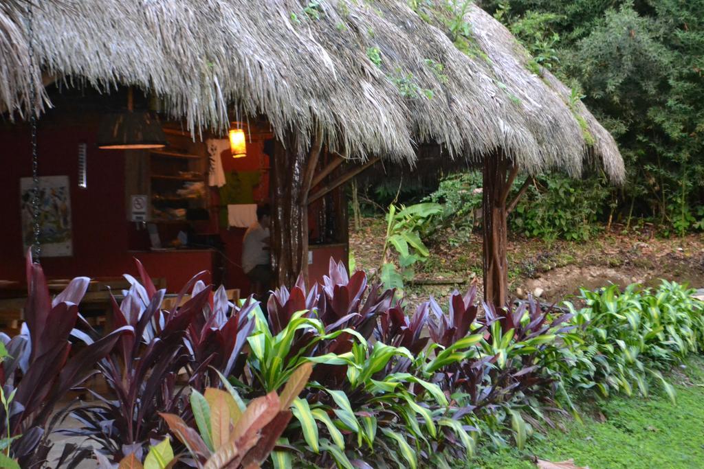 Huasquila Amazon Lodge Cotundo Ngoại thất bức ảnh